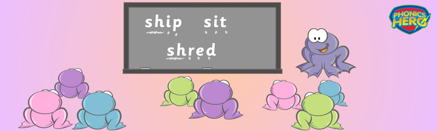 A class full of frogs who are seperated into groups depending on their skills
