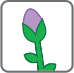 card_bud