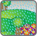 card_rain