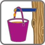 card_sap