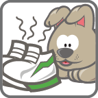 card_sniff