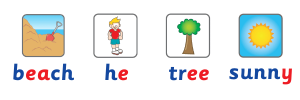 images of a: beach, he, tree, sunny