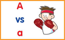 upper or lower case lettters - summary