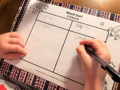word sort